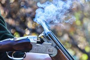 Rauchende Flinte