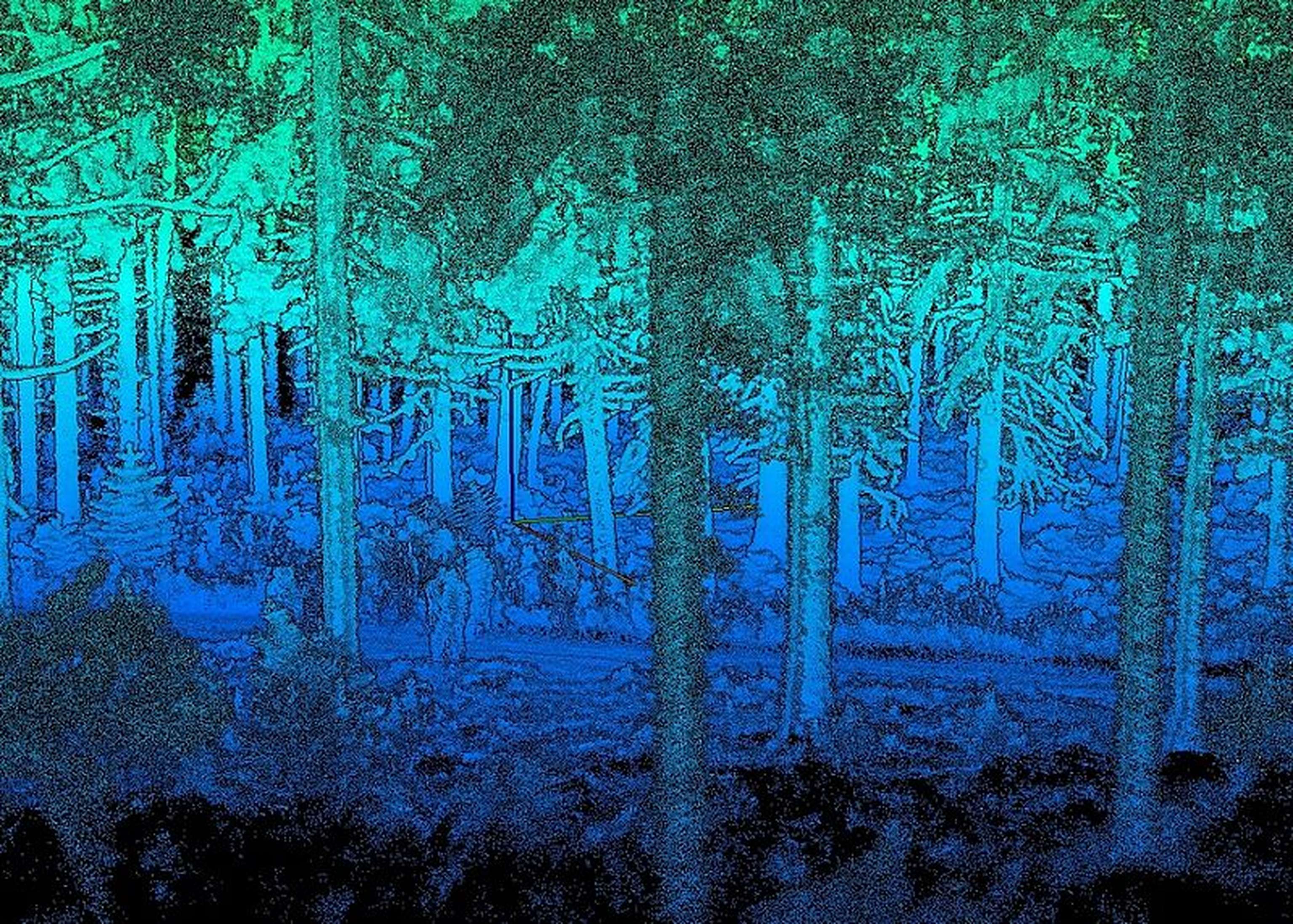 Mit Laserscan generierte Waldansicht