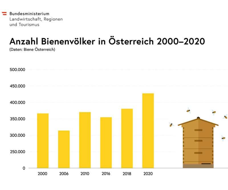 W03 OBS 210802 Bienenvoelker