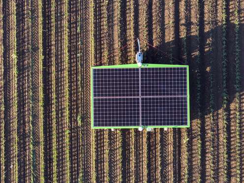 Ein autonom fahrender Hackroboter im Einsatz am Feld.