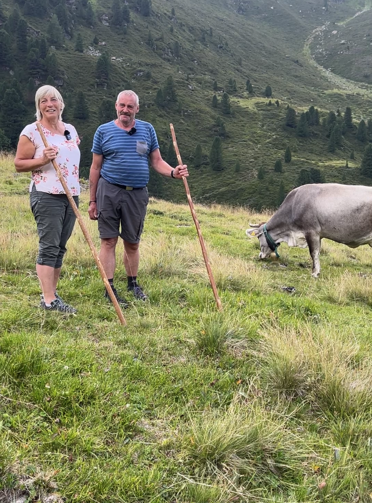 Zwei Wanderer mit Holzstöcken auf einer Almwiese, daneben eine graue Kuh, im Hintergrund grüne Berghänge mit Bäumen.