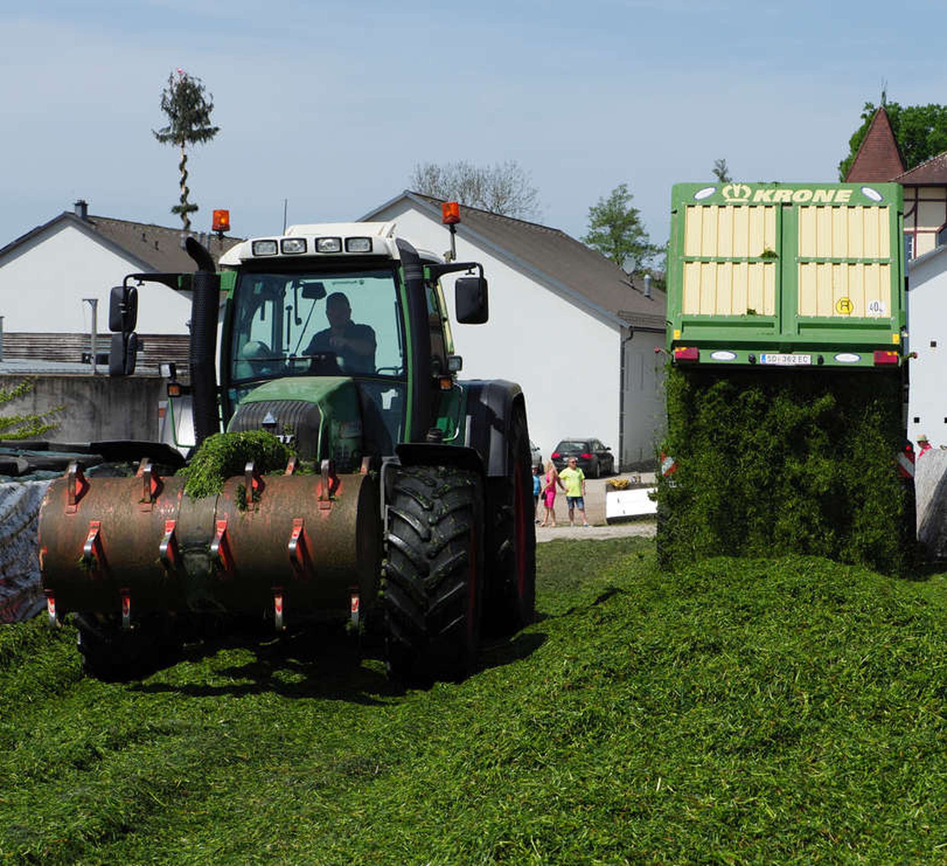 W2021 Silageprojekt