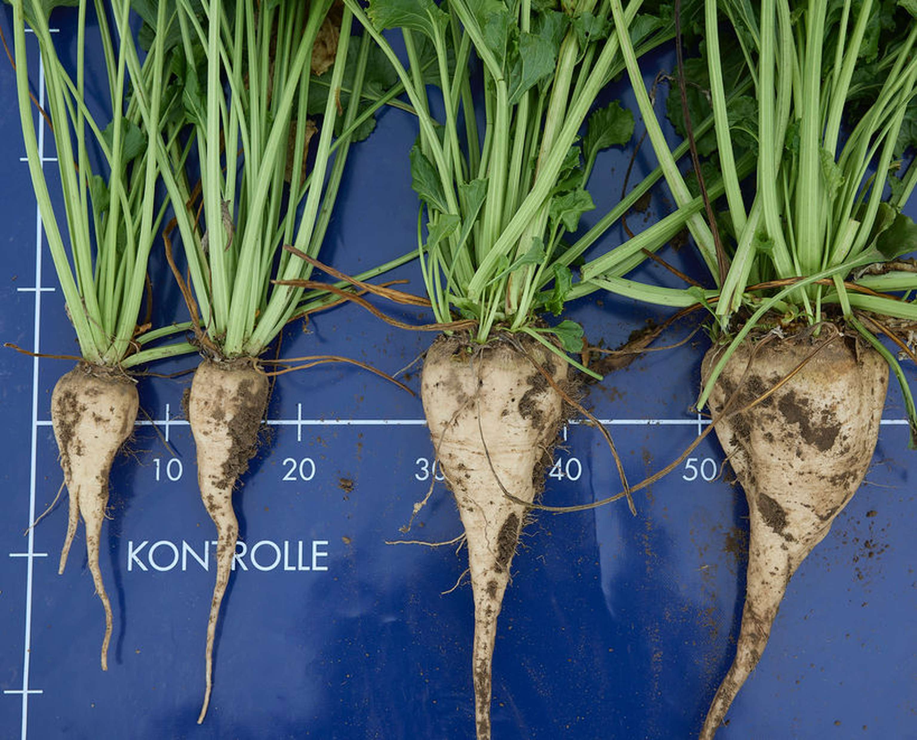 W01 230921 ZR Ertragsverlust