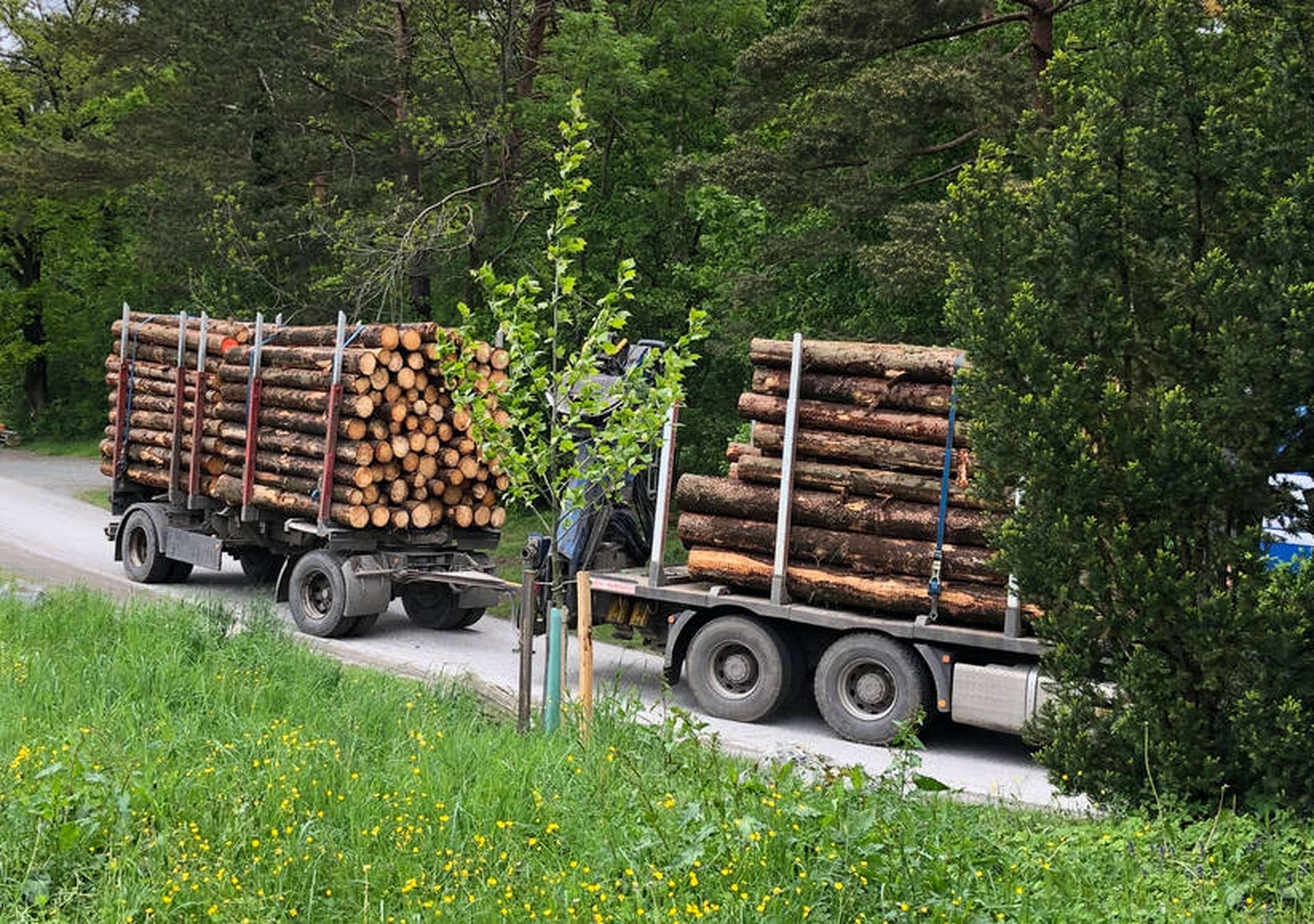 20707 02 Holztransport Web