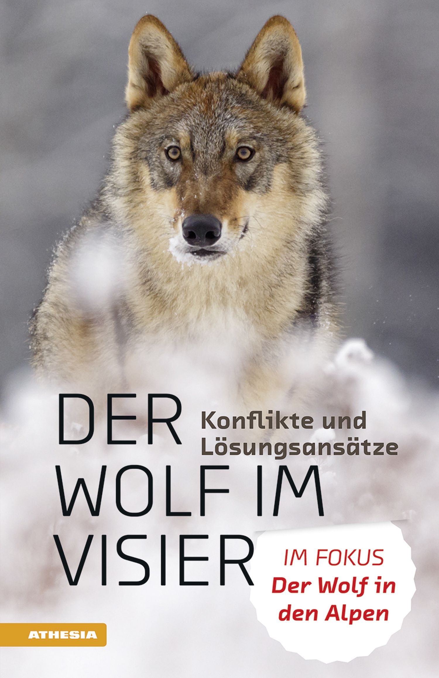 US Mit Dem Wolf Leben 5 HS.indd