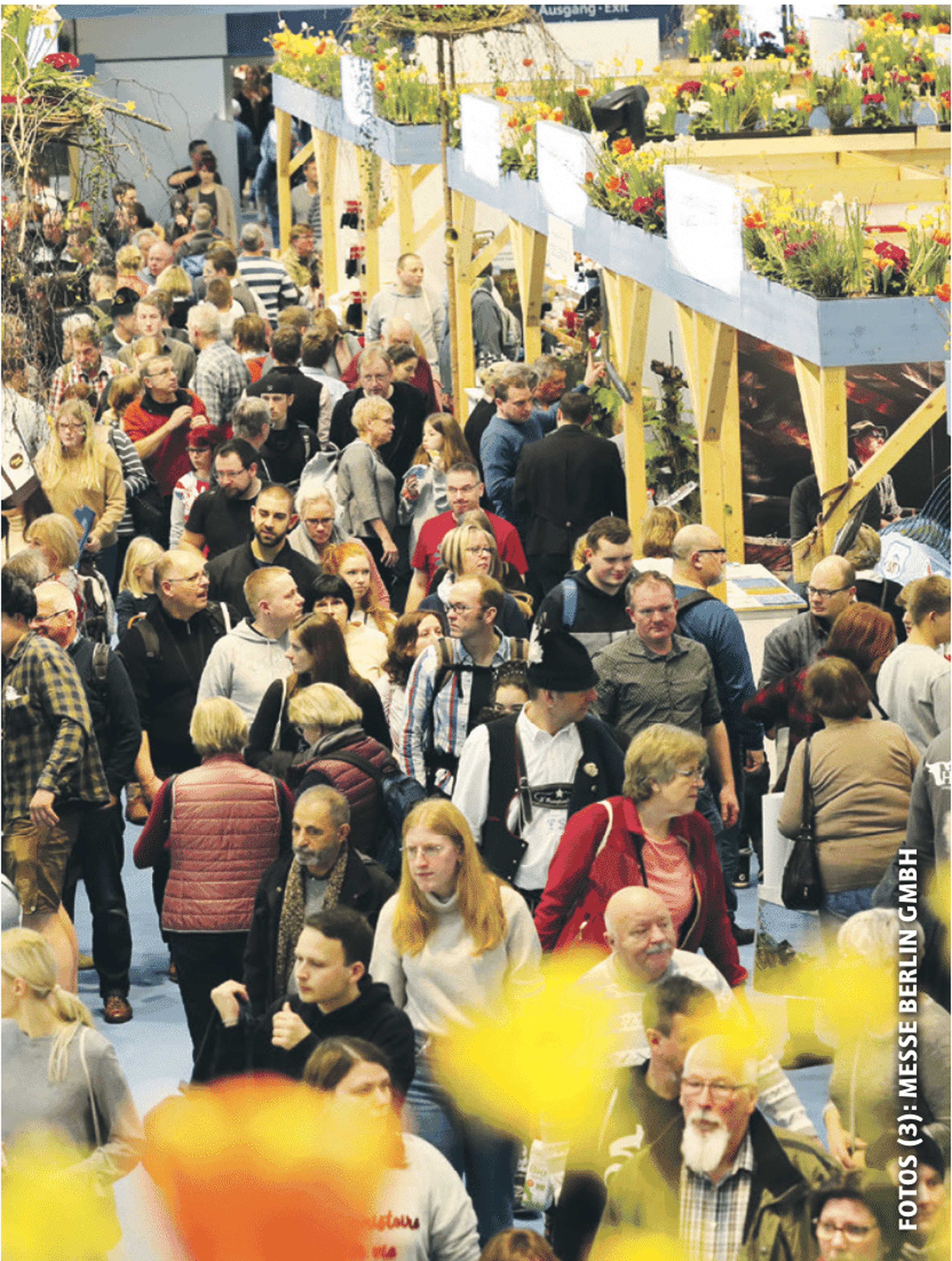 Bildschirmfoto 2020 01 22 Um 10.50.04