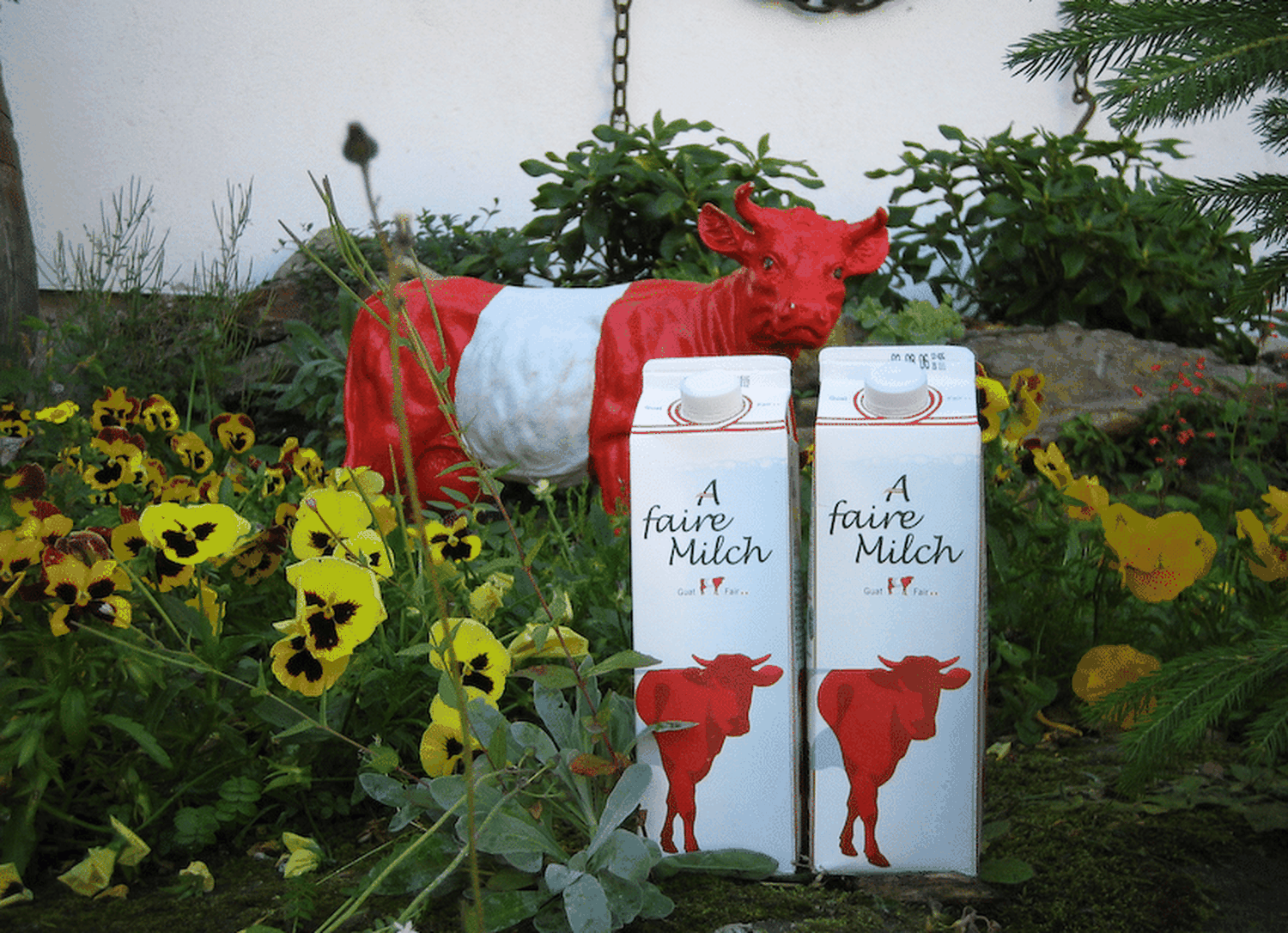 A Faire Milch