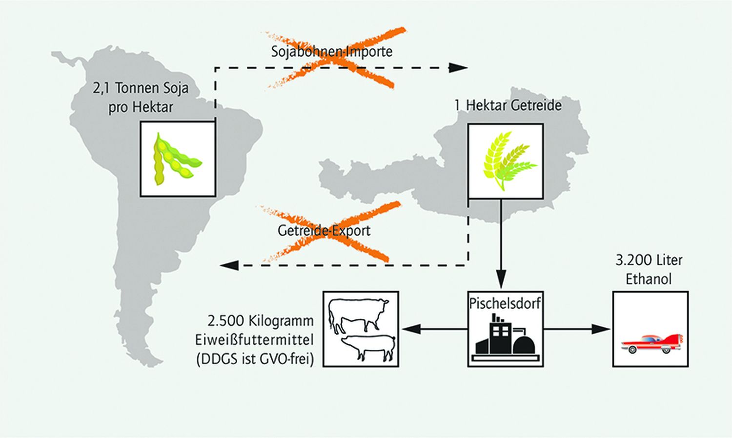 Bioethanol aus heimischer Produktion verringert die Treibhausgasemissionen im Verkehr und erhöht die Eigenversorgung mit Treibstoffen und hochwertigem Eiweißfutter.