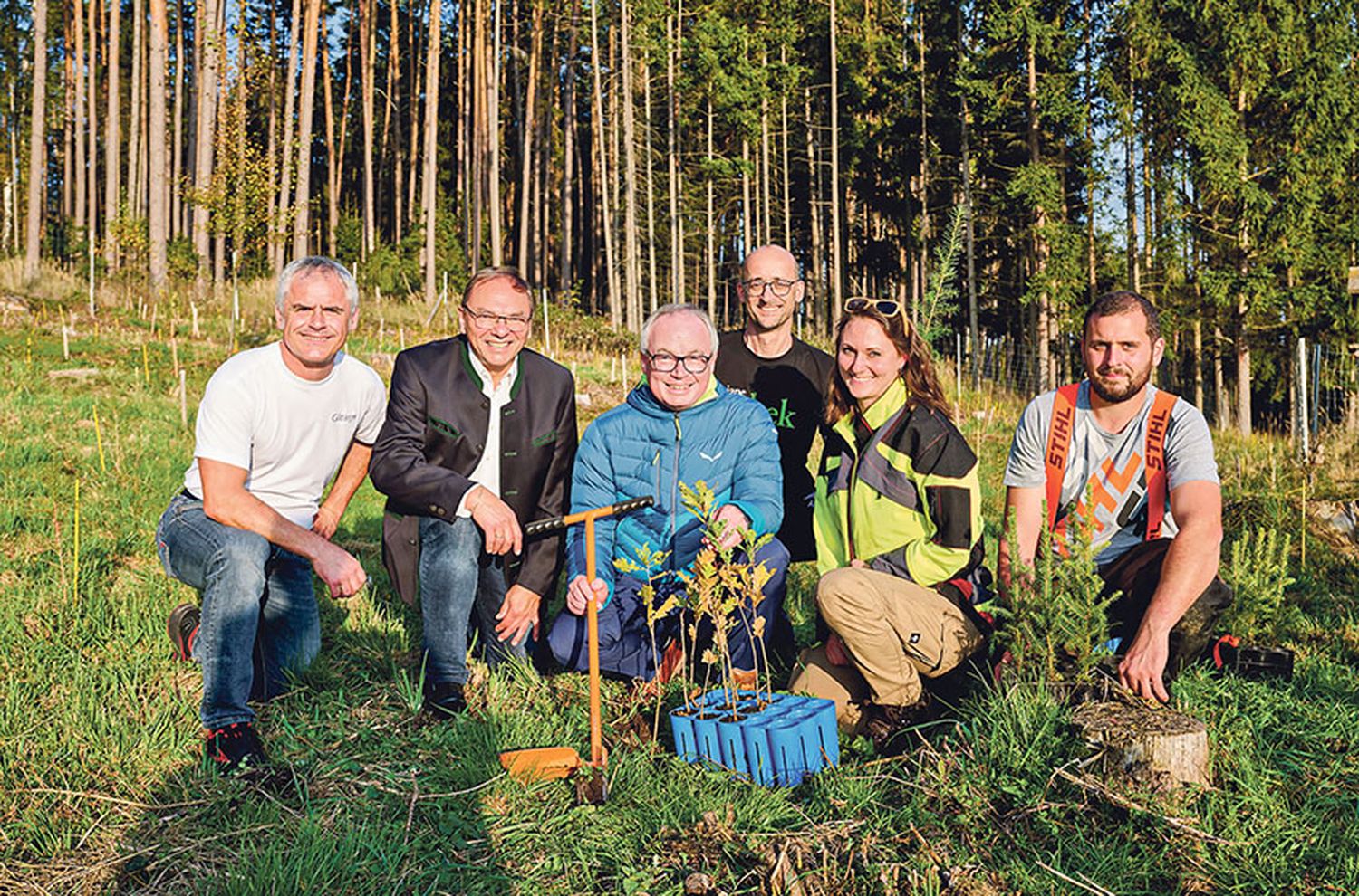 Große Ziele: Eine Million Bäume möchte „waldsetzen.jetzt“ bis 2030 pflanzen