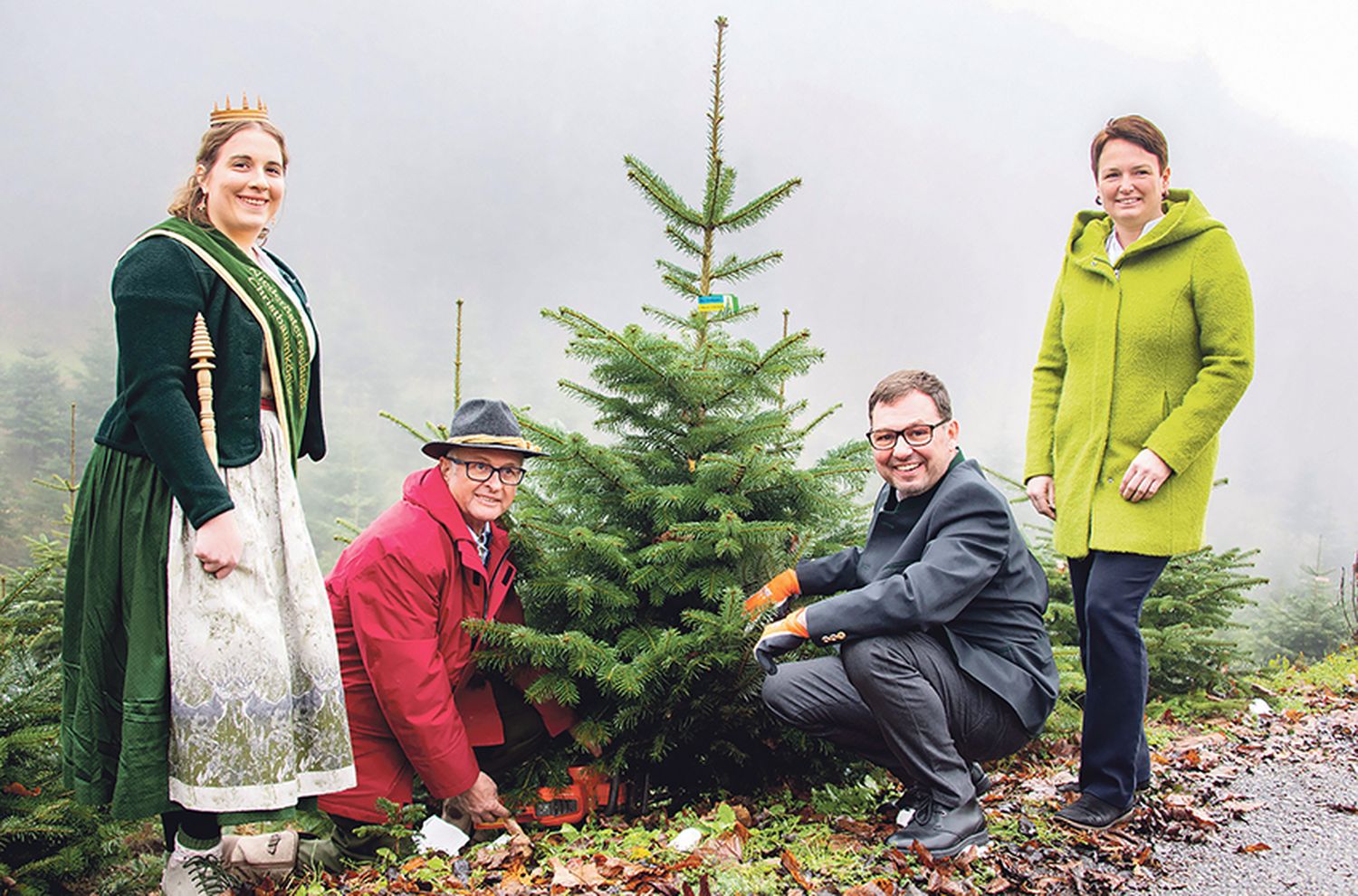 Start Christbaumsaison