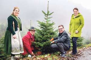 Start Christbaumsaison