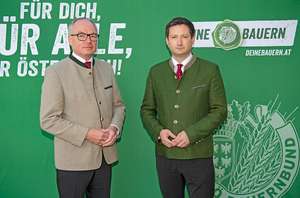 Wo bleibt Veto beim Borealis-Verkauf Frau Hlawati?
