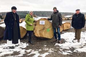 Wertholzsubmission in Heiligenkreuz (NÖ)