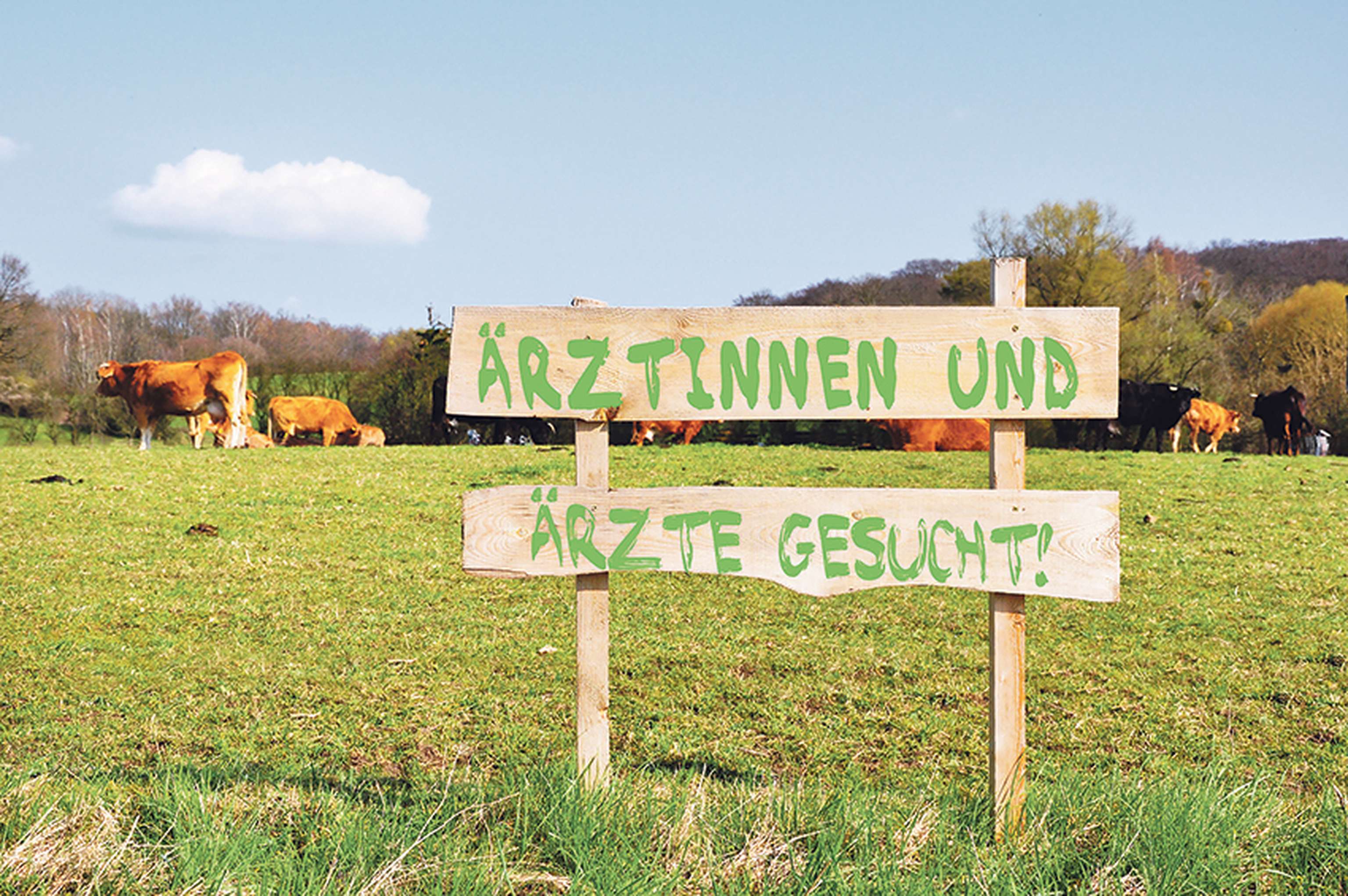 Adobe.stock.com/Marco2811