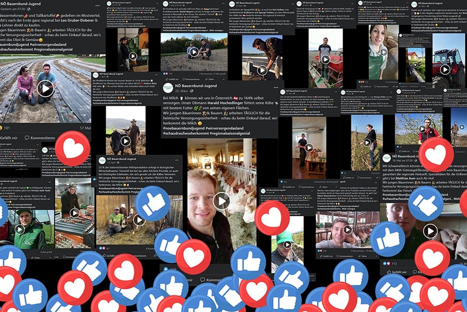 Landwirtschaft zeigen, wie sie wirklich ist: Die genialen Videoclips gepostet auf Facebook riefen auch zahlreiche Postings hervor.