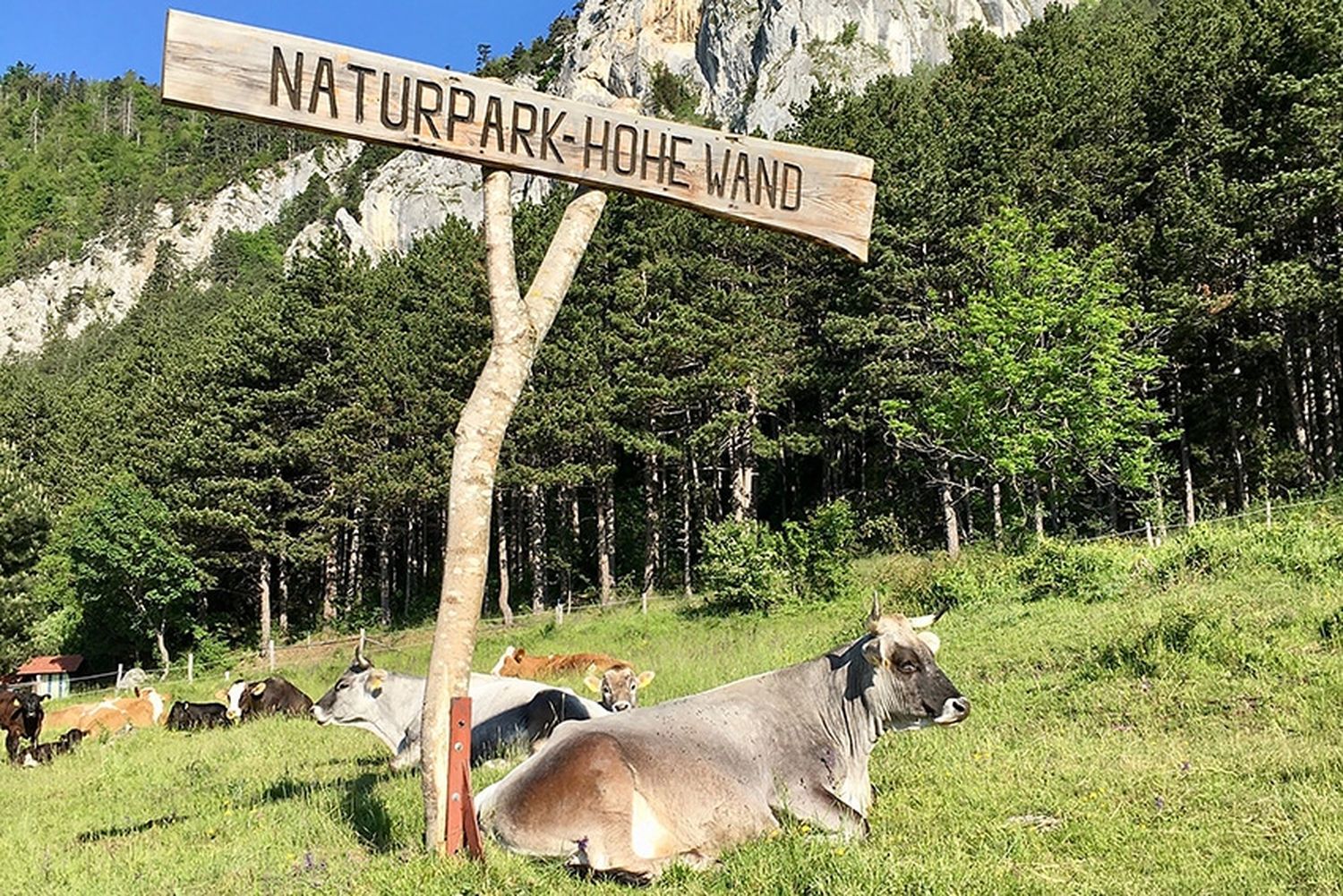71. niederösterreichische Almwandertag