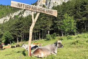 71. niederösterreichische Almwandertag