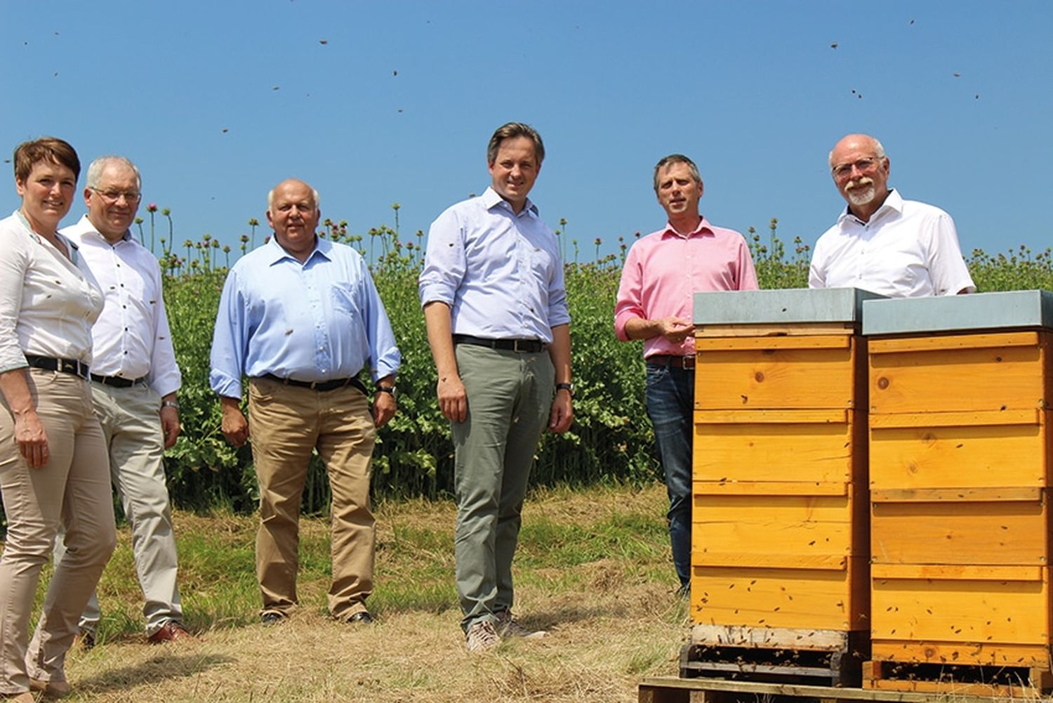 Bienen und Landwirtschaft