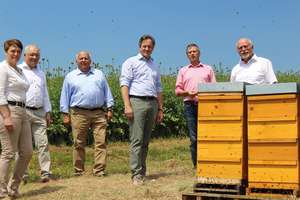 Bienen und Landwirtschaft