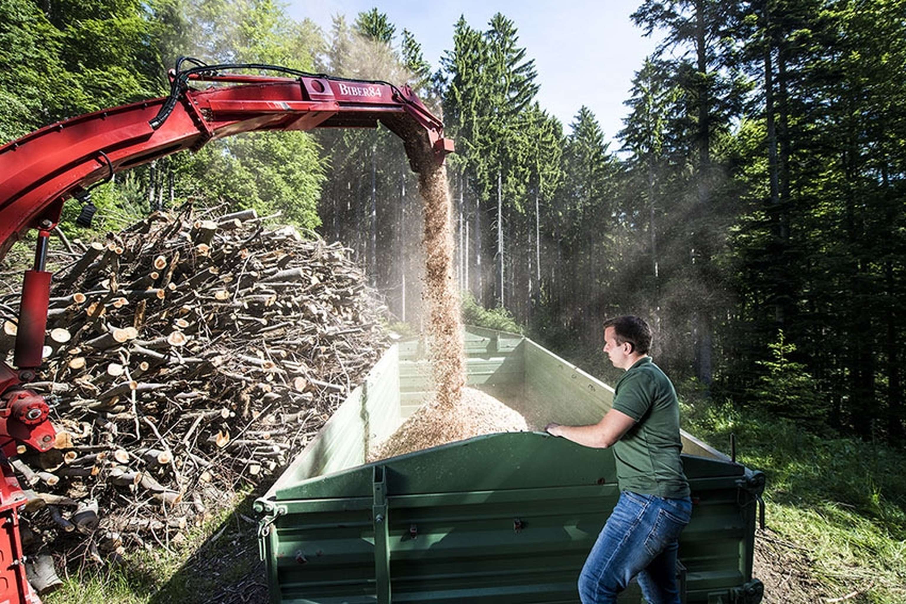 Mit Biomasse können Erdgas- und Erdölimporte verringert werden, wodurch Kosten gesenkt, die Unabhängigkeit erhöht, regionale Wertschöpfung geschaffen, Arbeitsplätze gesichert, die Waldhygiene verbessert sowie die CO2-Emission gesenkt werden.