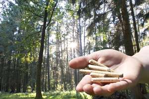 Holzpellets aus nachwachsenden Rohstoffen