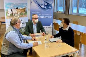 Rinderzucht