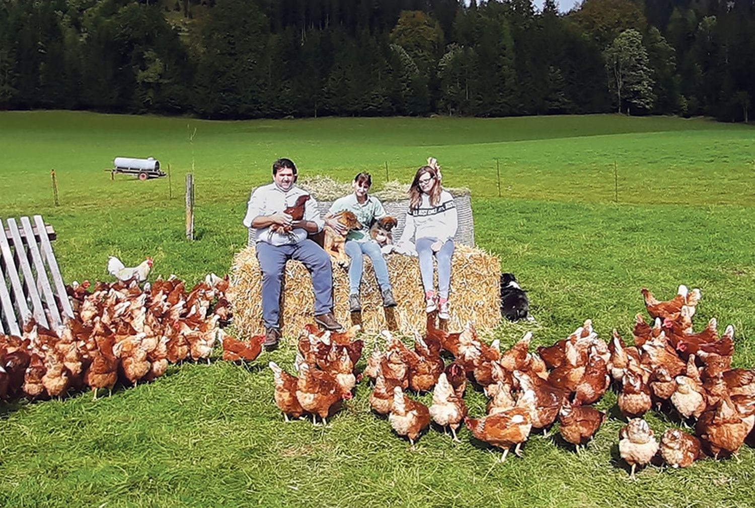 Biobauer Thomas Fraiss mit Lebensgefährtin Beatrix Zellhofer und Tochter Yvonne: Hühner, Schafe, Mangalitza.