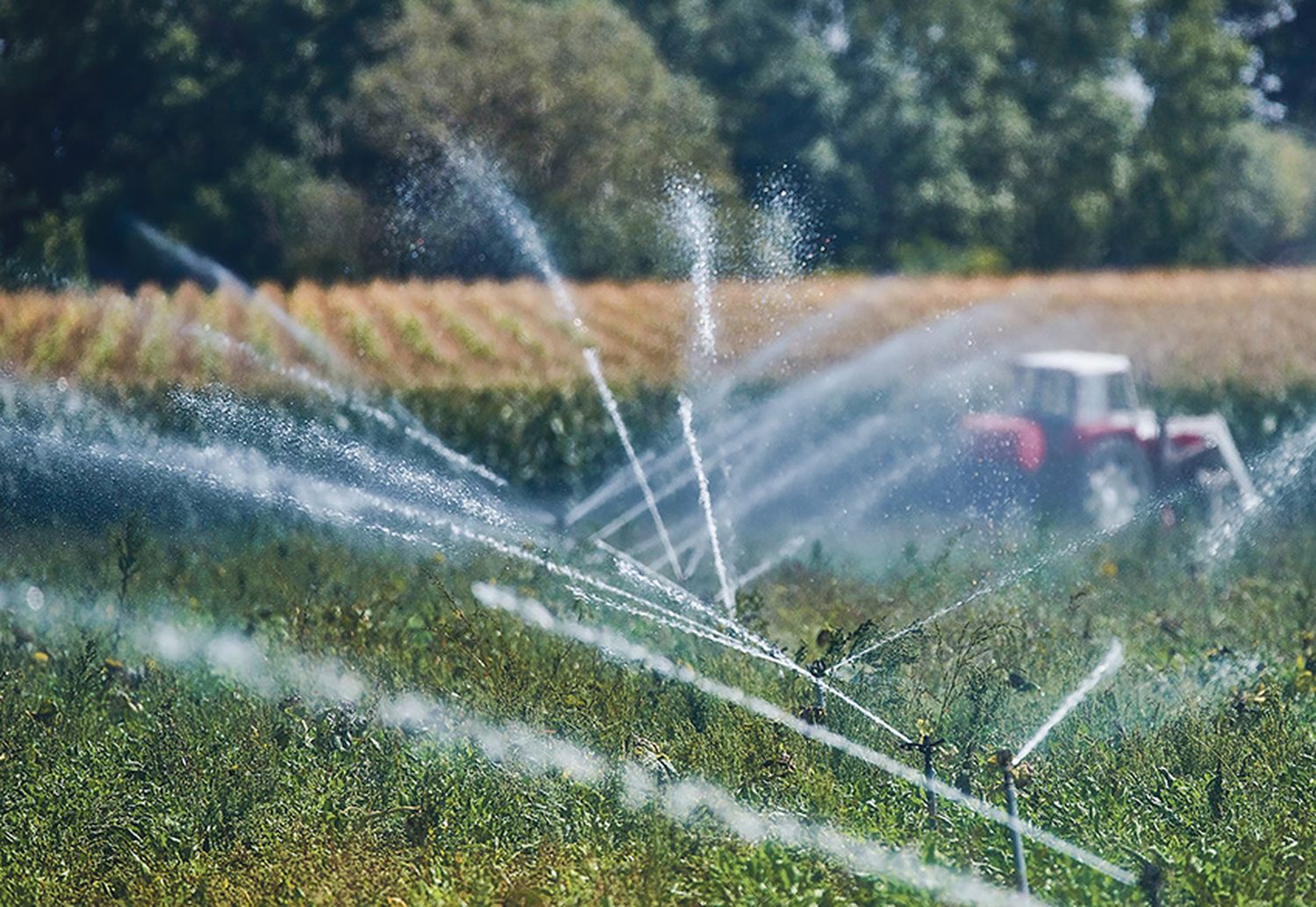 Kompetenzzentrum für Bewässerung: Vor allem im Marchfeld, im Tullnerfeld, in der Wachau und im Kamptal, aber auch im Waldviertel werden bereits Projekte umgesetzt.
