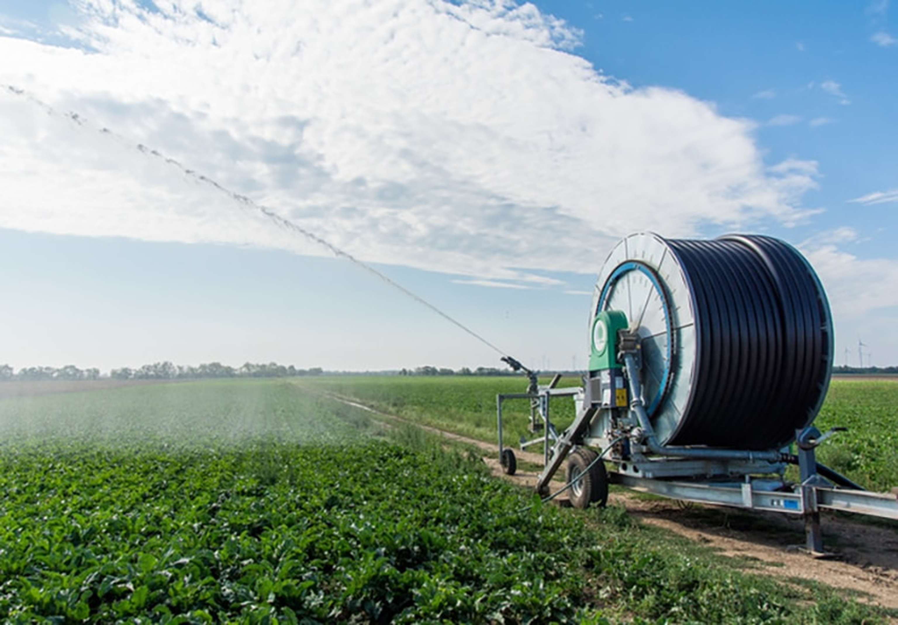 Beregnung Zuckerrueben 4 ID84550 Size650px