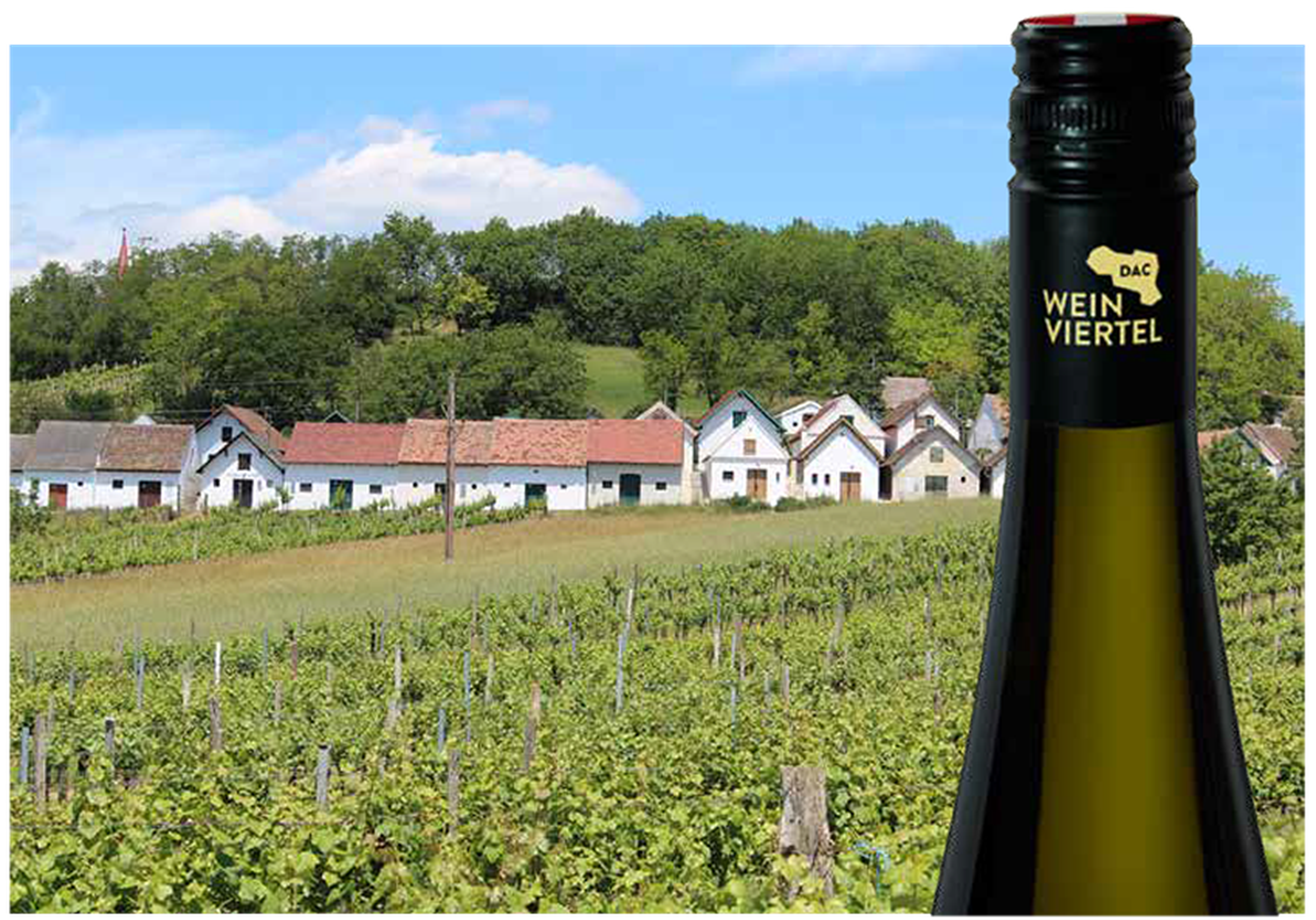 Weinviertel DAC