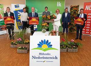 Foto Blühendes NÖ Landessieger