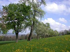Agrarfoto.com