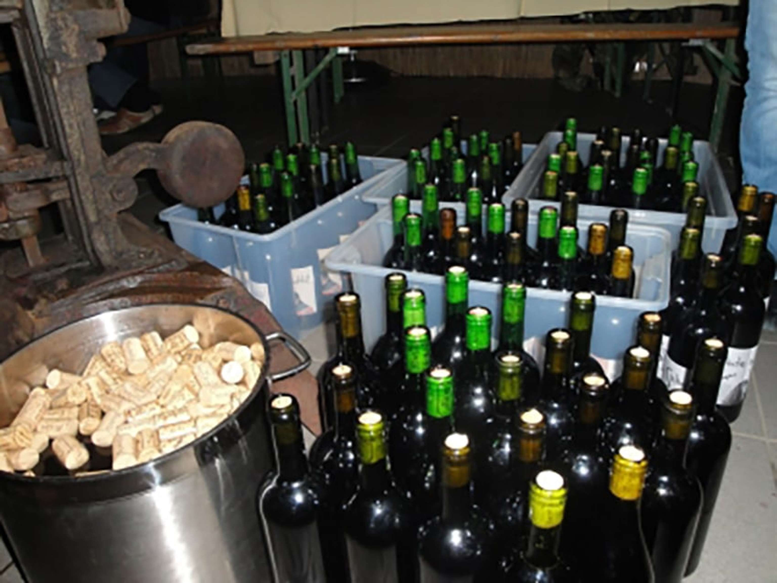 462326 Web R B By Andrea Winter Pixelio.de