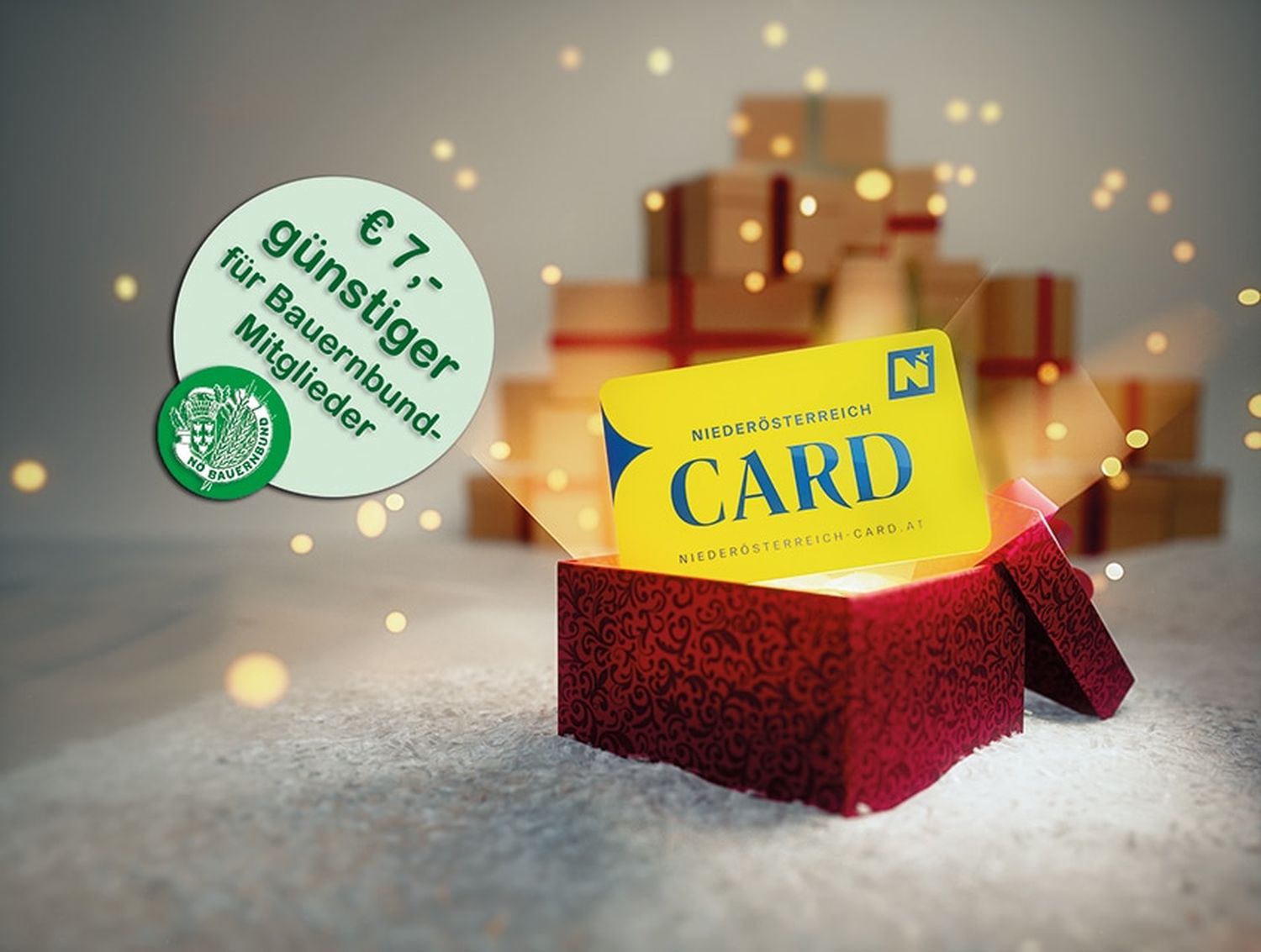Mit der Weihnachtsaktion gibt es neu gekaufte NÖ-Card für zwölf Monate plus drei Monate gratis. Mitglieder des NÖ Bauernbundes erhalten diese um 7 Euro billiger.