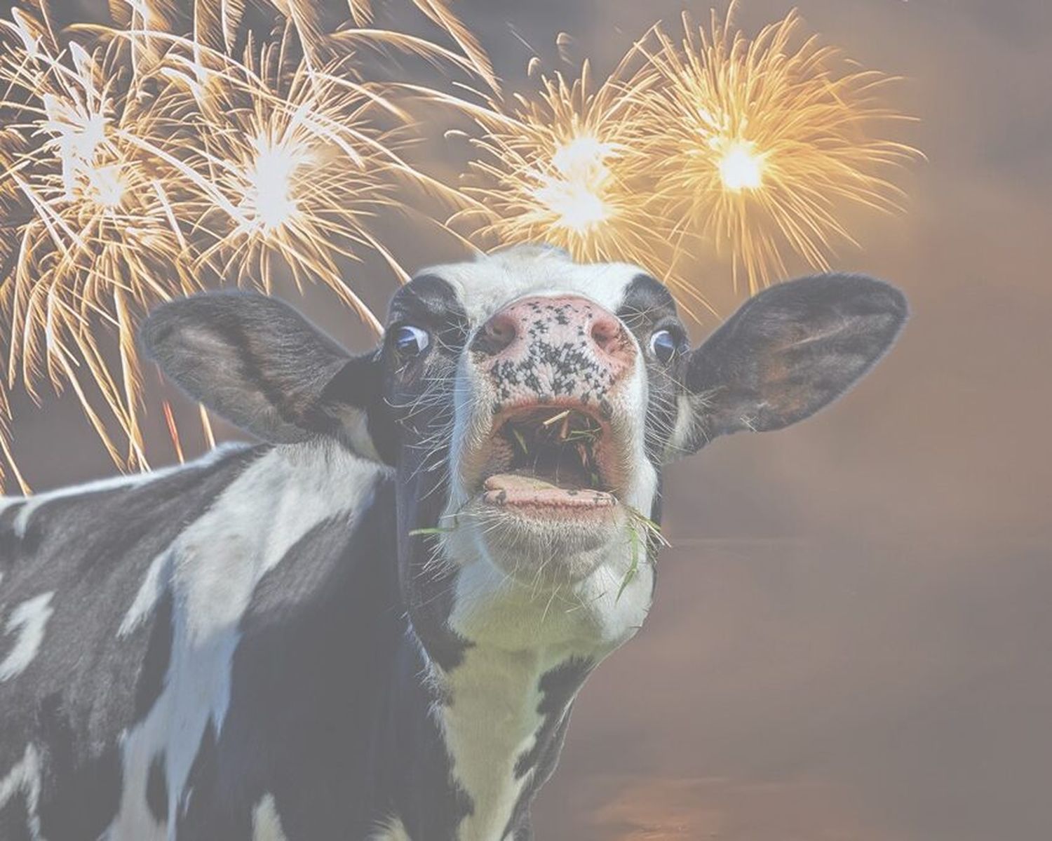 Feuerwerk, Nacht, Himmel, Lichter