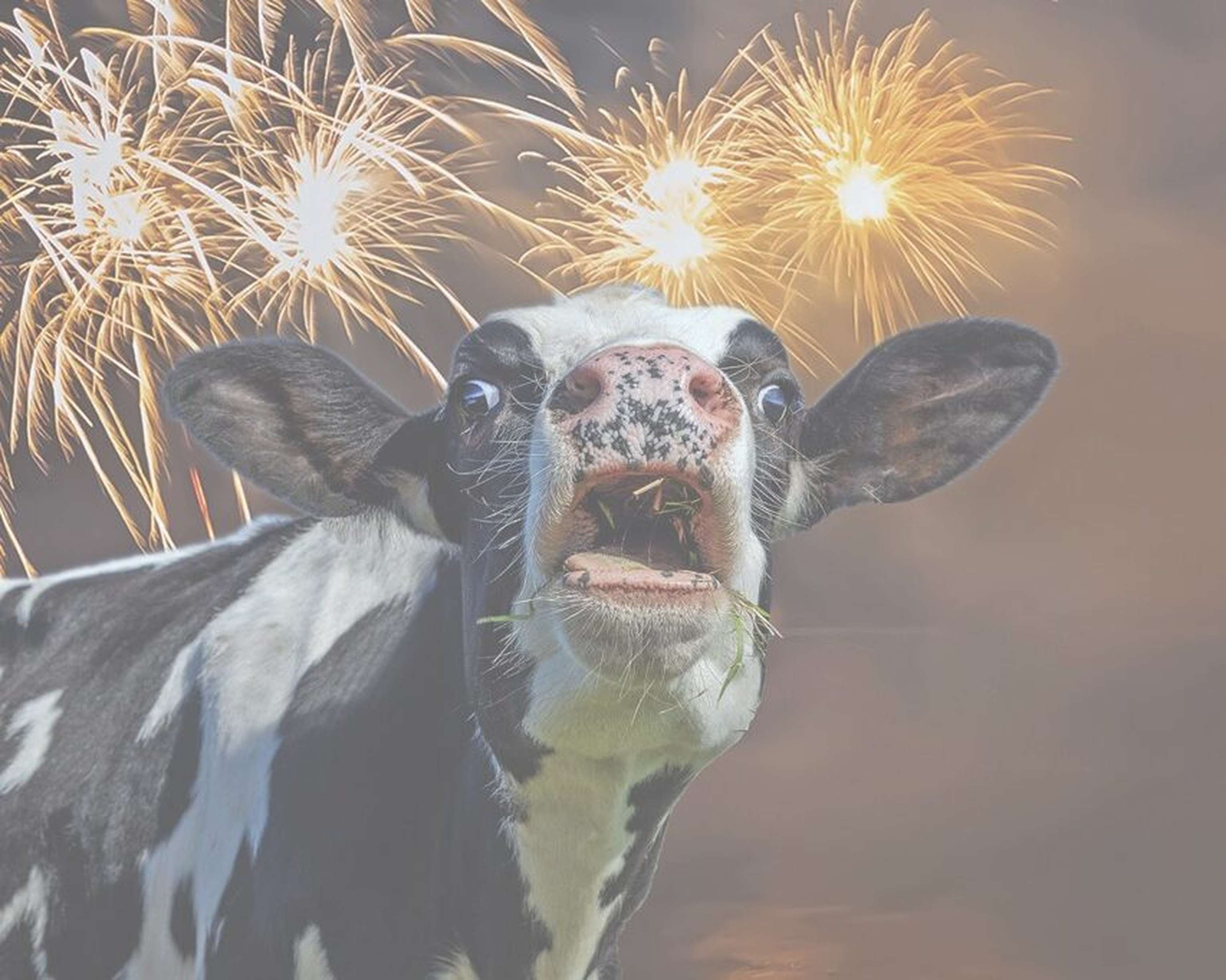 Feuerwerk, Nacht, Himmel, Lichter