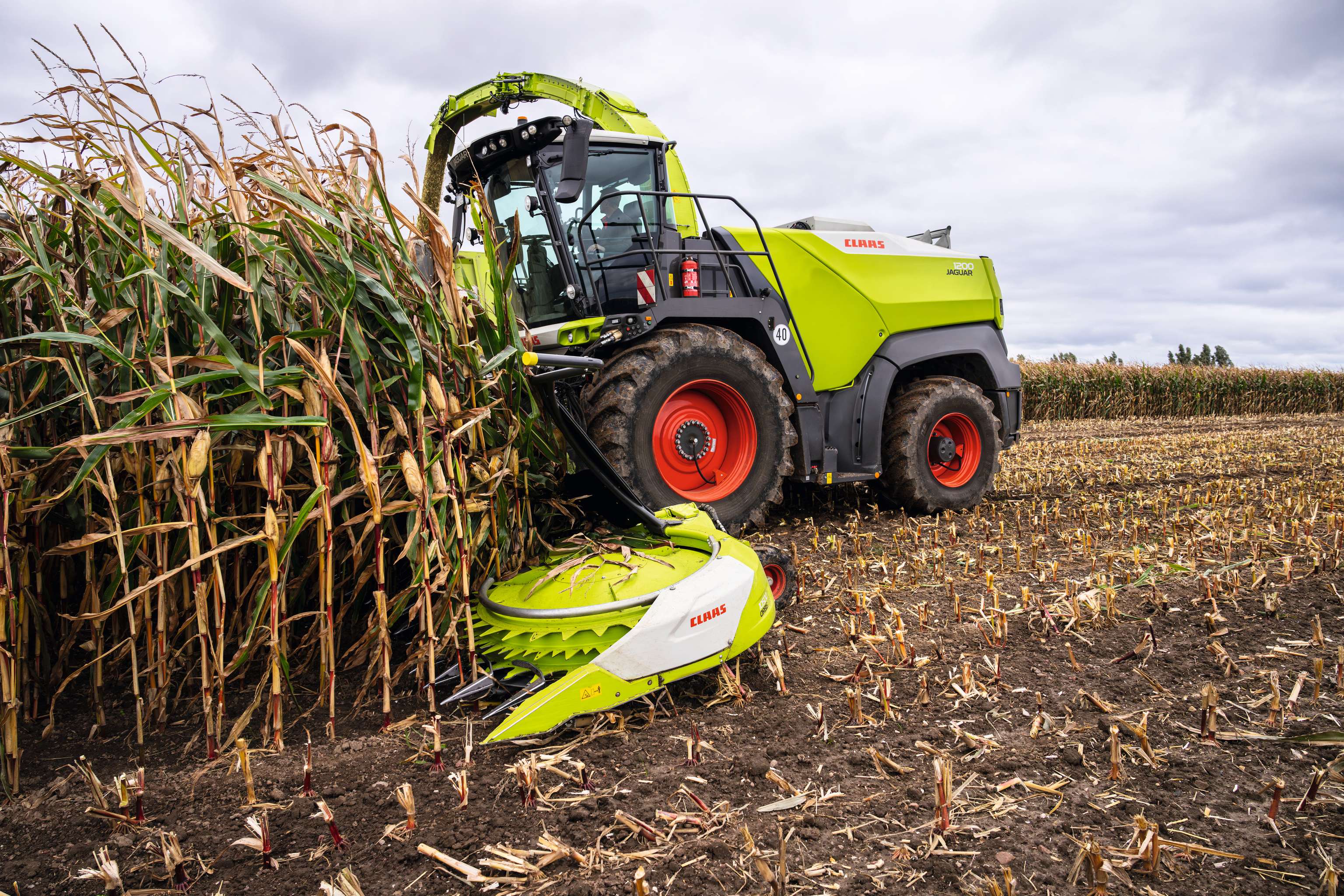Feldhäcksler im Einsatz