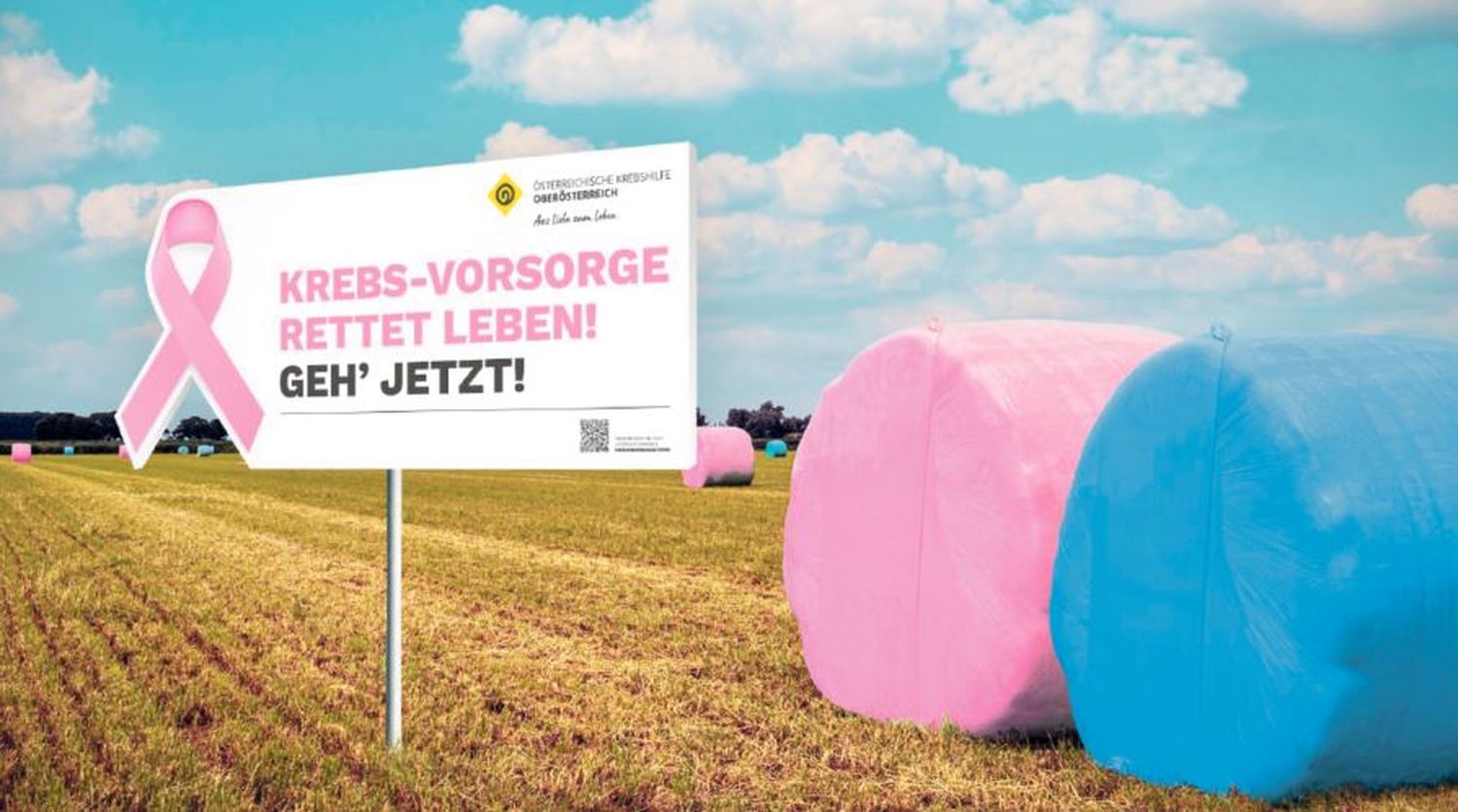 Bunte Bälle auf Feldern
