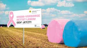 Bunte Bälle auf Feldern