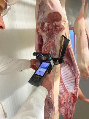 Das Klassifizierungsgerät “OptiScan TPC” wird ab dem ersten Quartal 2021 in vielen größeren Schweineschlachtbetrieben eingesetzt
