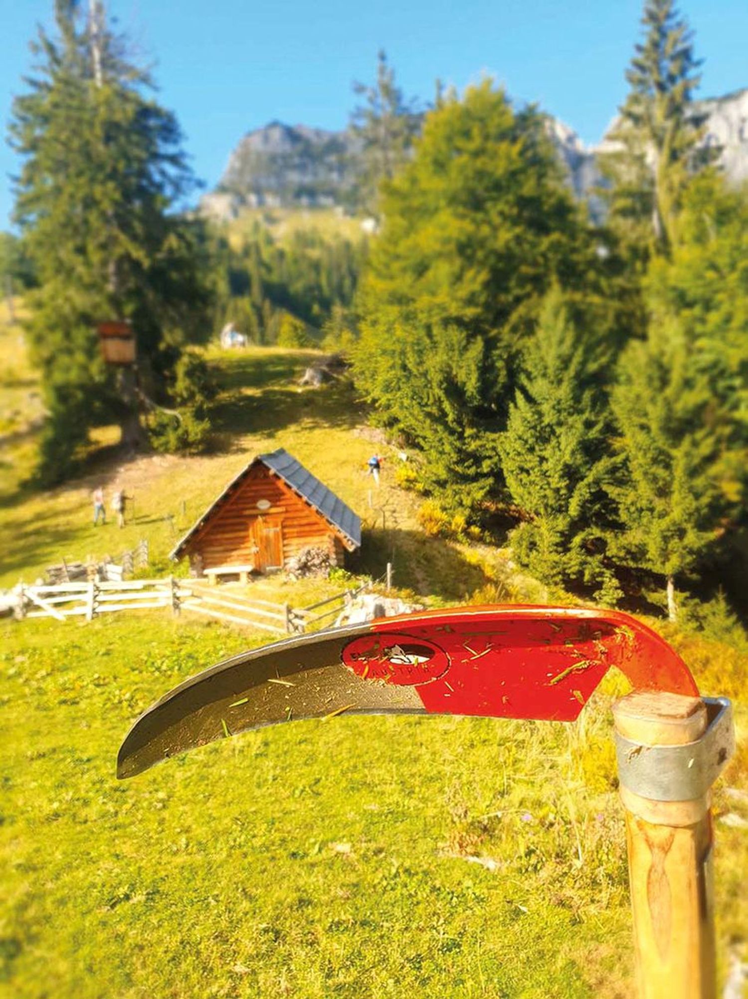 2349 W Einladung Alm ÖKL