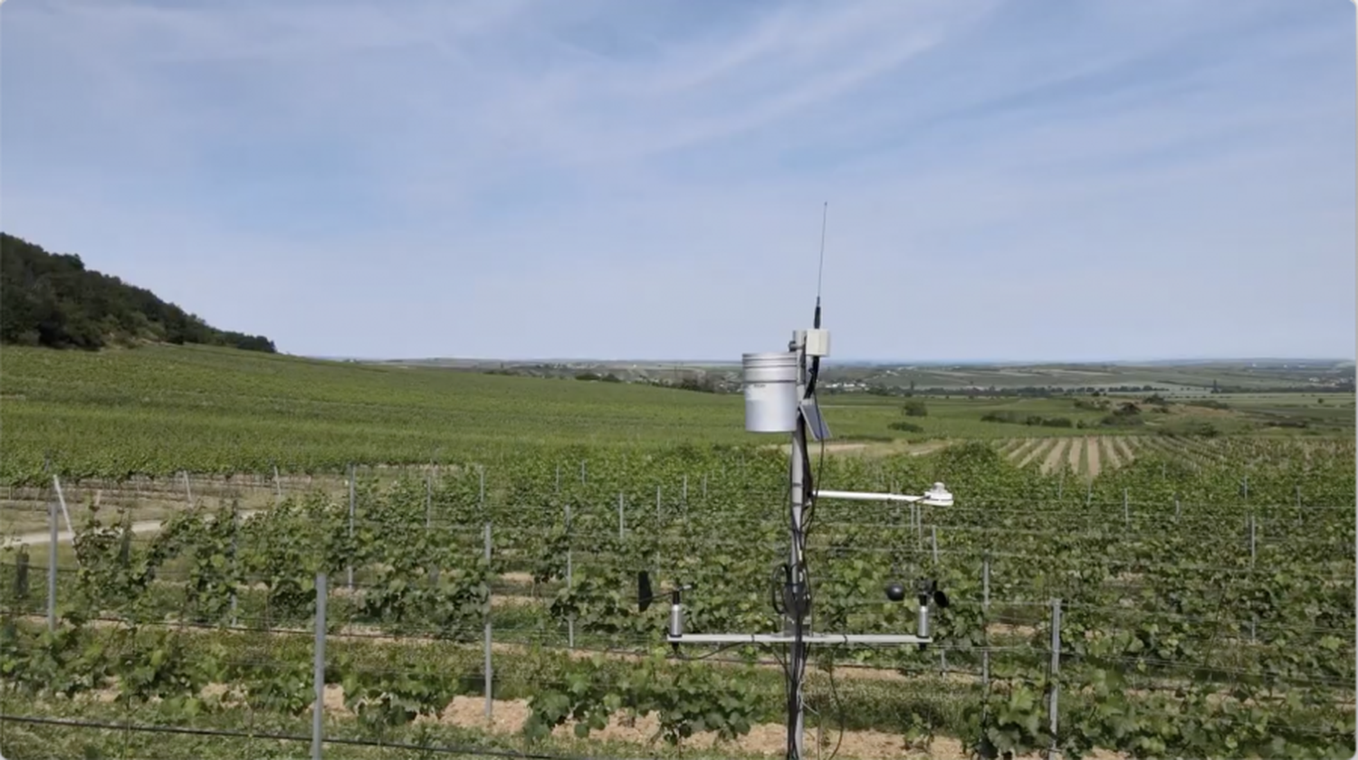 Den Prognosen auf warndienst.at liegt ein dichtes Netz von Wetterstationen zugrunde.