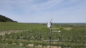 02 Wetterstation