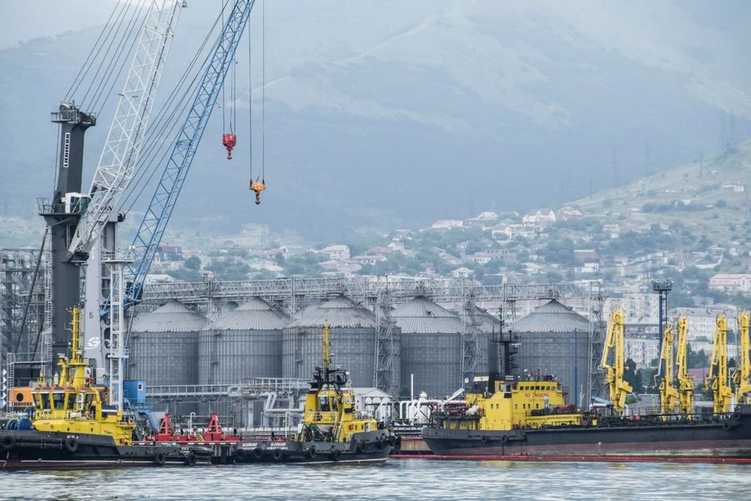2302 07w Novorossiysk AdobeStock Eleonimages