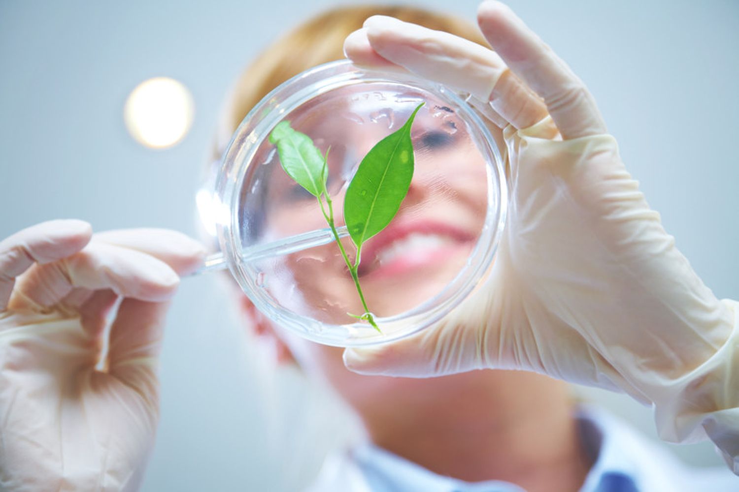 W Bio Innovation Challenge