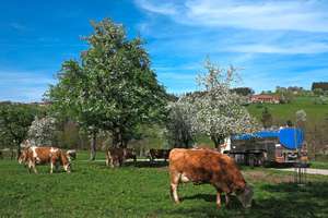 W Milchabholung 73 ID64021