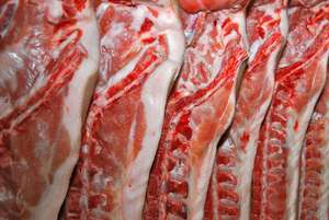 Schweinehaelften Web