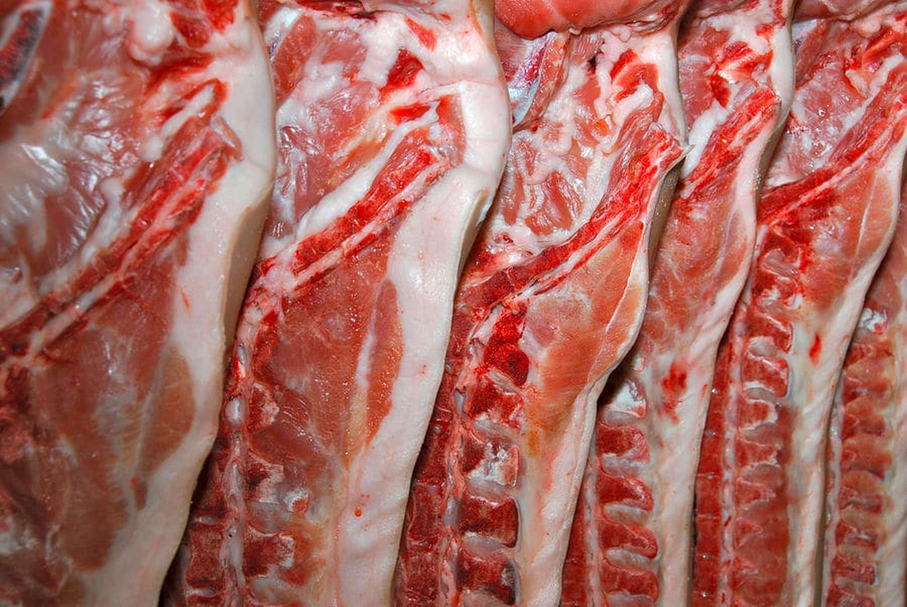 Schweinehaelften Web