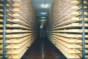 Berglandmilch Kaeserei Reiferaum Voitsberg05 Web