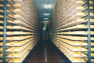 Berglandmilch Kaeserei Reiferaum Voitsberg05 Web
